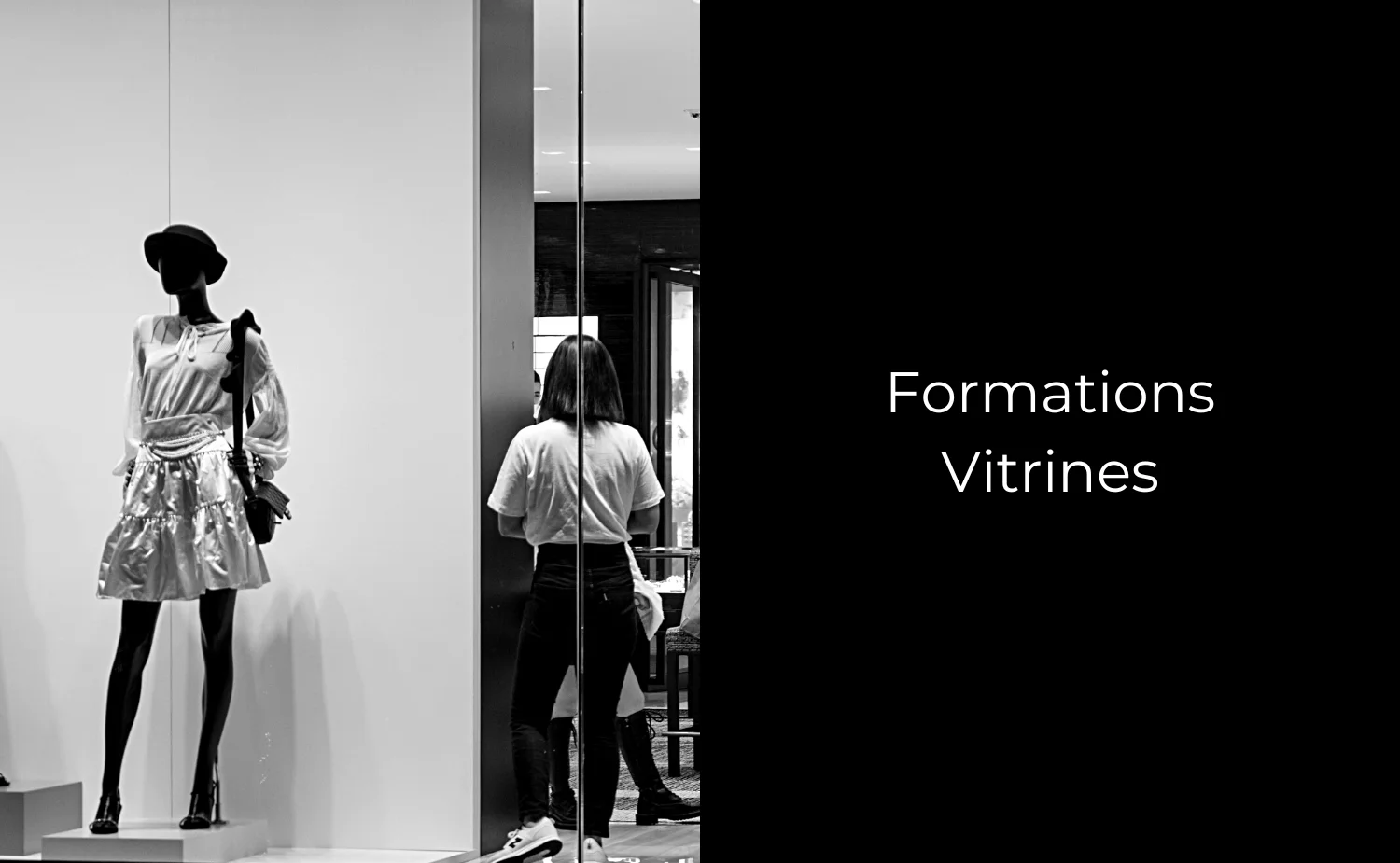 mildamm merchandising formation vitrine